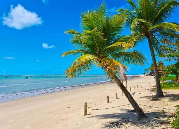 Boulevard Da Praia Porto Seguro Brasil